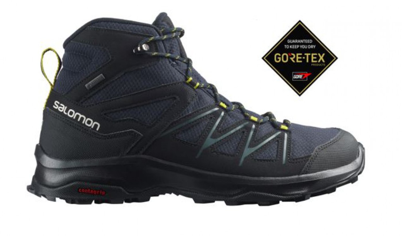 SALOMON Schuhe DAINTREE MID GTX - Herren
